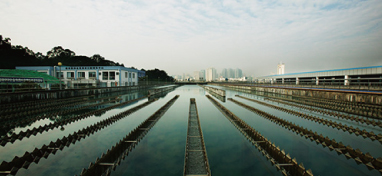 兩會(huì)聲音：城市“新洼地”之痛 如何補(bǔ)齊城市地下管網(wǎng)短板？